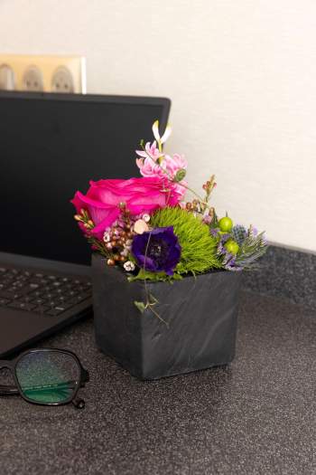 Tourisme en Alsace dans le Haut-Rhin · Hôtel Bristol